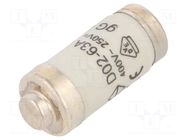 Fuse: fuse; 63A; 400VAC; 250VDC; gG,time-lag; D02 HAGER