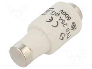 Fuse: fuse; 25A; 500VAC; gG,time-lag; DII HAGER