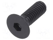 Screw; M4x12; 0.7; Head: countersunk; hex key; HEX 2.5mm; steel BOSSARD