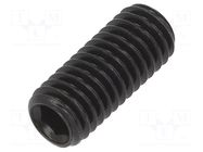 Screw; M5x12; 0.8; Head: without head; hex key; HEX 2.5mm; steel BOSSARD