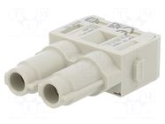 Connector: HDC; module; female; 70A; 1000V; Han-Modular®; PIN: 2 HARTING