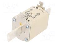 Fuse: fuse; 224A; 500VAC; gG; ceramic,industrial; NH1; WT-NH ETI POLAM
