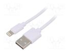 Cable; USB 2.0; Apple Lightning plug,USB A plug; nickel plated AKYGA
