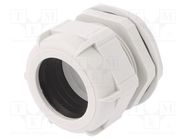 Cable gland; PG48; IP68; polyamide; light grey BM GROUP