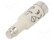 Fuse: fuse; 2A; 400VAC; 250VDC; gG,time-lag; D01 HAGER