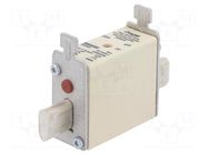 Fuse: fuse; 25A; 690VAC; gG; industrial; NH000 HAGER