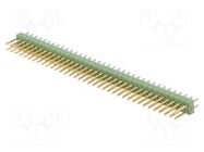 Connector: pin strips; pin header; male; PIN: 72; AMPMODU MOD II TE Connectivity