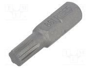 Screwdriver bit; RIBE®; RIBE® M5; Overall len: 25mm 