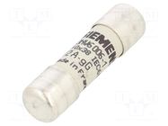 Fuse: fuse; 12A; 500VAC; gG; industrial; 10x38mm; SENTRON SIEMENS