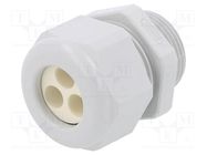 Cable gland; multi-hole; M25; 1.5; IP65; polyamide; grey; 7mm HUMMEL