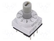 Encoding switch; DEC/BCD; Pos: 10; THT; Rcont max: 80mΩ; PT65 PTR HARTMANN