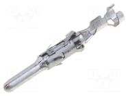Contact; male; 2.5mm System; tinned; 0.5÷1mm2; bulk; crimped TE Connectivity