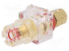 Socket; 3mm banana; 60A; 54.5mm; red,transparent; gold-plated CLIFF