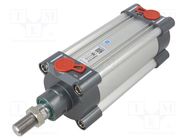 Profile cylinder; Piston diam: 25mm; Piston stroke: 100mm PNEUMAT