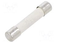 Fuse: fuse; 10A; 250VAC; time-lag; ceramic,cylindrical; GSA; brass BEL FUSE