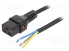 Cable; IEC C19 female,wires; PVC; 2m; with IEC LOCK locking; 10A IEC LOCK