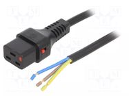 Cable; IEC C19 female,wires; PVC; 4m; with IEC LOCK locking; 10A IEC LOCK