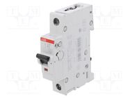 Circuit breaker; 230/400VAC; Inom: 2A; Poles: 1; Charact: B; 6kA ABB