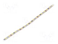 LED tape; white cold; LED/m: 120; 4mm; IP20; 120°; 9.6W/m; CRImin: 82 FOSE