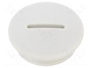 Stopper; PG21; IP54; polyamide; light grey; SKINDICHT®; 8mm LAPP