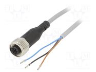 Connection lead; M12; PIN: 3; straight; 2.5m; plug; 250VAC; 4A; NEBU FESTO