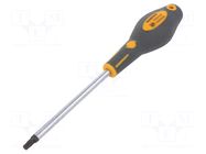 Screwdriver: standard; Torx® with protection; T30H; 125mm PG TOOLS