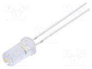 CRLED; 4.8mm; white warm; 5000mcd; 50°; Front: flat; 5.5÷20V OPTOSUPPLY