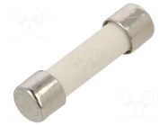 Fuse: fuse; 6.3A; 250VAC; ultra rapid; ceramic,cylindrical; 5x20mm SCHURTER