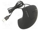 Optical mouse; black; USB A; wireless; 10m; No.of butt: 6 GEMBIRD
