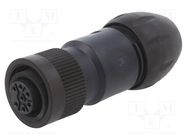 Connector: circular; 692,693,RD24; 250V; PIN: 7; plug; female; 10A BINDER