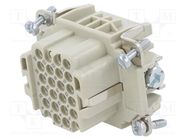 Connector: HDC; contact insert; female; EPIC H-DD; PIN: 24; 24+PE LAPP