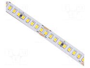 LED tape; white cold; 2835; LED/m: 180; 10mm; white PCB; IP20; 120° IPIXEL LED