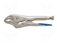 Pliers; locking; 250mm HÖGERT TECHNIK
