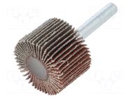 Grinding pin; Granularity: 60; Holder: plunger; 6mm; flap PG PROFESSIONAL