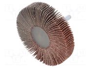 Grinding pin; Granularity: 60; Holder: plunger; 6mm; flap PG PROFESSIONAL
