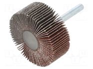 Grinding pin; Granularity: 80; Holder: plunger; 6mm; flap PG PROFESSIONAL