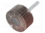 Grinding pin; Granularity: 120; Mounting: rod 6mm; Ø40x20mm PG PROFESSIONAL