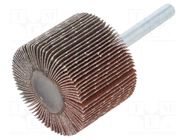 Grinding pin; Granularity: 120; Mounting: rod 6mm; Ø40x30mm PG PROFESSIONAL