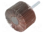 Grinding pin; Granularity: 120; Mounting: rod 6mm; Ø50x30mm PG PROFESSIONAL