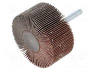 Grinding pin; Granularity: 120; Mounting: rod 6mm; Ø60x30mm PG PROFESSIONAL