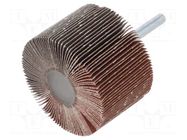 Grinding pin; Granularity: 120; Mounting: rod 6mm; Ø60x40mm PG PROFESSIONAL