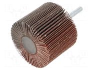 Grinding pin; Granularity: 120; Mounting: rod 6mm; Ø60x50mm PG PROFESSIONAL