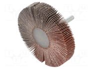Grinding pin; Granularity: 120; Mounting: rod 6mm; Ø80x15mm PG PROFESSIONAL