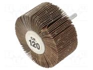Grinding pin; Granularity: 120; Mounting: rod 6mm; Ø80x40mm PG PROFESSIONAL