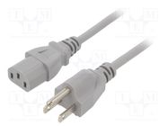 Cable; 3x18AWG; IEC C13 female,NEMA 5-15 (B) plug; PVC; 5m; grey LIAN DUNG