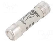 Fuse: fuse; 6A; 500VAC; gG; cylindrical,industrial; 10x38mm HAGER