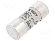 Fuse: fuse; 25A; 690VAC; gG; cylindrical,industrial; 22x58mm HAGER