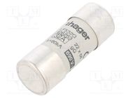 Fuse: fuse; gG; 32A; 690VAC; cylindrical,industrial; 22x58mm HAGER