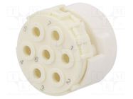 Connector: M23; contact insert; PIN: 7; male; for cable HUMMEL