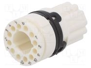 Connector: M16; contact insert; female; for cable; PIN: 15(3+12) HUMMEL